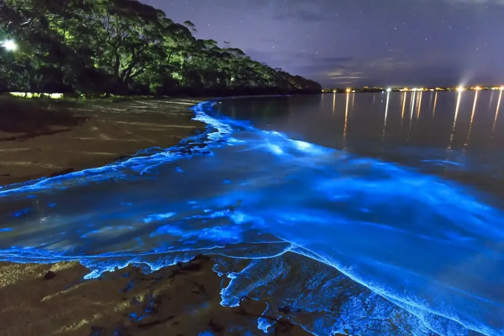 Glowing Beach in Maldives
