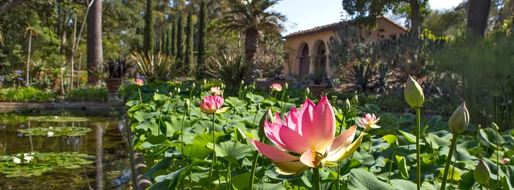 Lotusland Santa Barbara