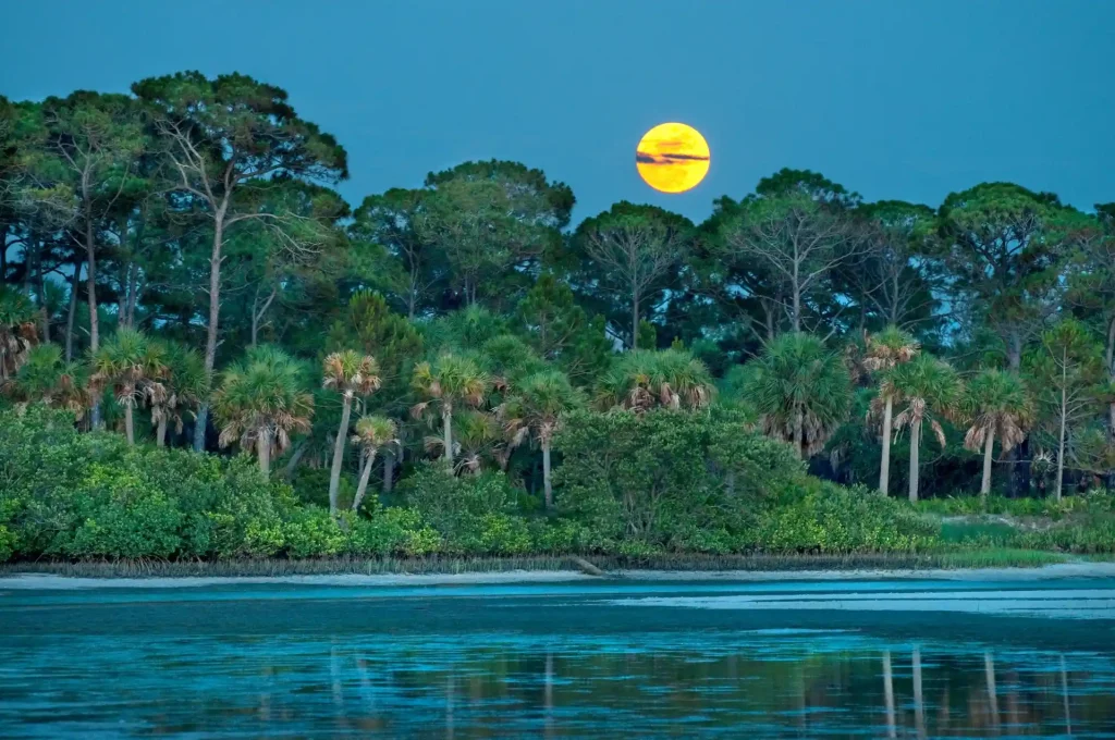 Caladesi Island State Park Natural Beauty and Tranquil Waters
