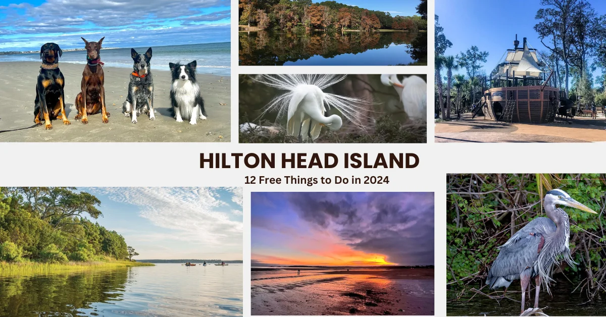Free-Things-to-Do-in-Hilton-Head-Island.webp