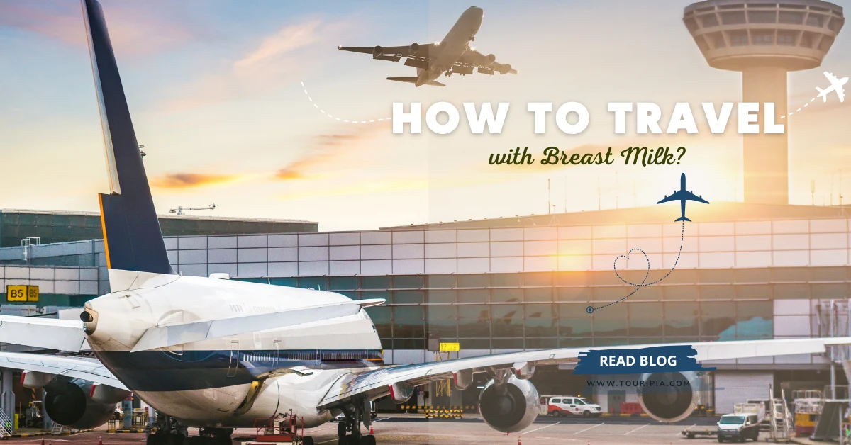 How-to-Travel-with-Breast-Milk.webp