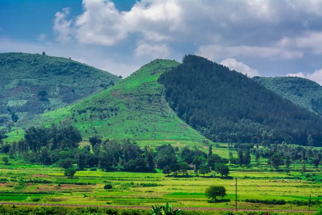 Arakku Valley