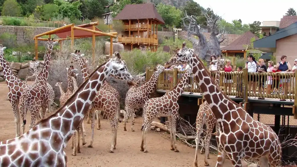 Cheyenne Mountain Zoo