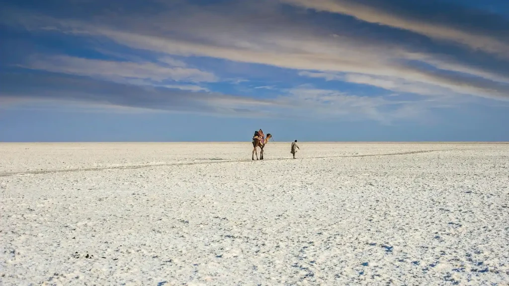 Great Rann of Kutch, Gujarat