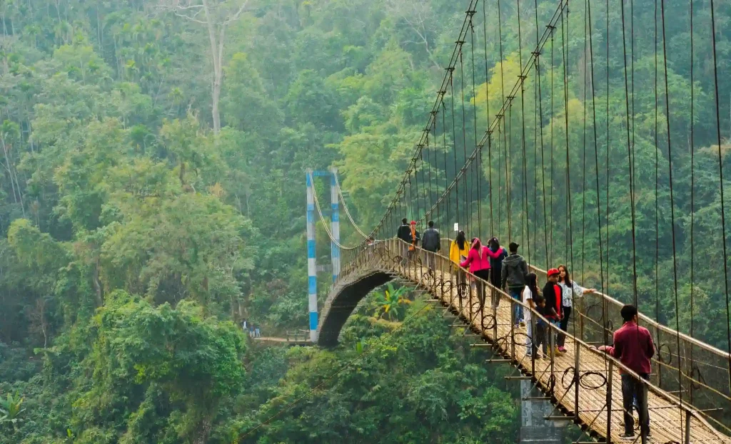 A group of people crossing a suspended wooden rope bridge over a lush, green forest. The bridge sways high above the ground, with dense foliage and trees in the background. The atmosphere is vibrant and adventurous.