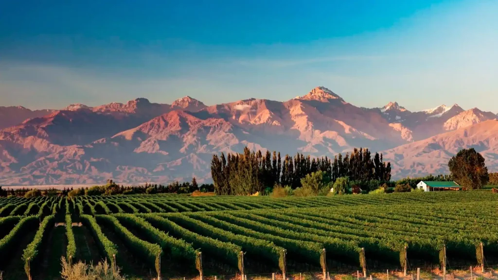 Mendoza Wine Valley, Argentina