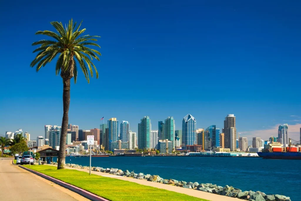 View of San Diego's city skyline from across a body of water under a clear blue sky. A tall palm tree stands prominently on the left side along a street with a 35 mph speed limit sign. The city’s buildings, including modern skyscrapers, line the waterfront, capturing California's urban beauty.