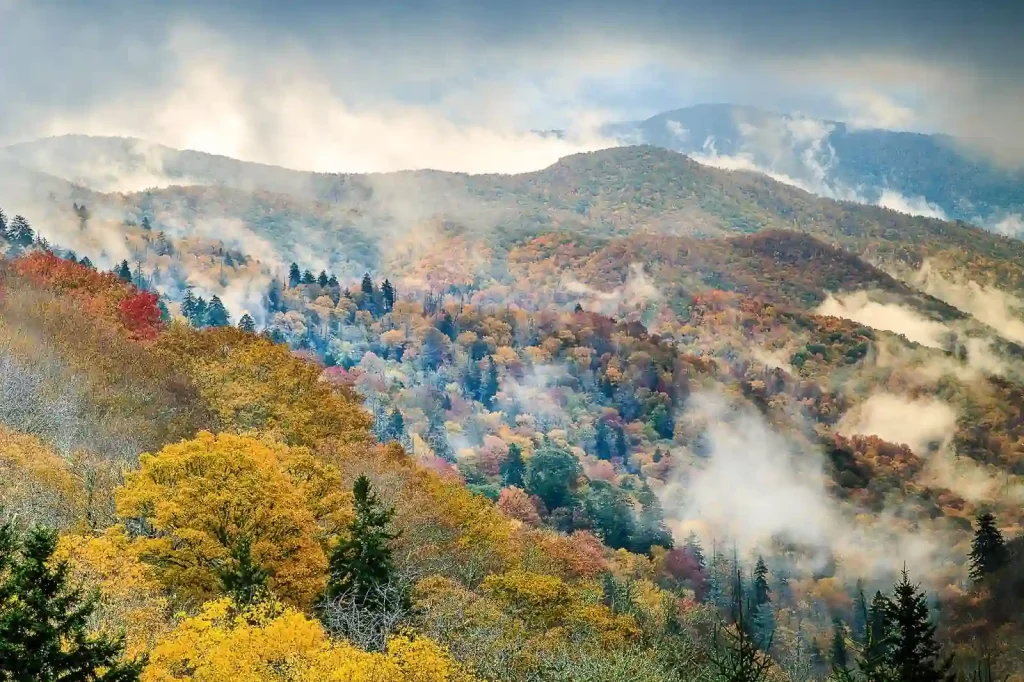 A scenic view of a misty, forested mountain range in autumn. The forest features a variety of trees with colorful fall foliage, ranging from green to vibrant reds, oranges, and yellows. The mist creates a dreamy, tranquil atmosphere over the hills.