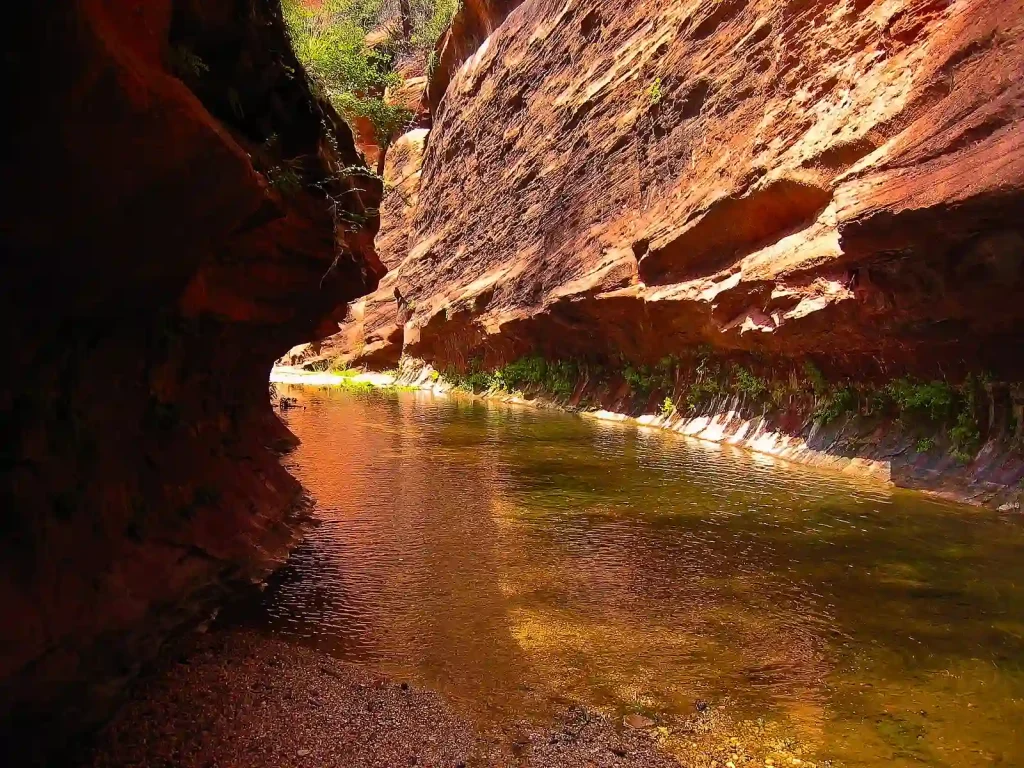 Nestled within the West Fork Trail, a narrow canyon boasts steep, reddish rock walls on both sides and a calm, shallow creek running through the middle. Sunlight illuminates the scene, highlighting the textures and colors of the rock and water. Vegetation can be seen along the water's edge.