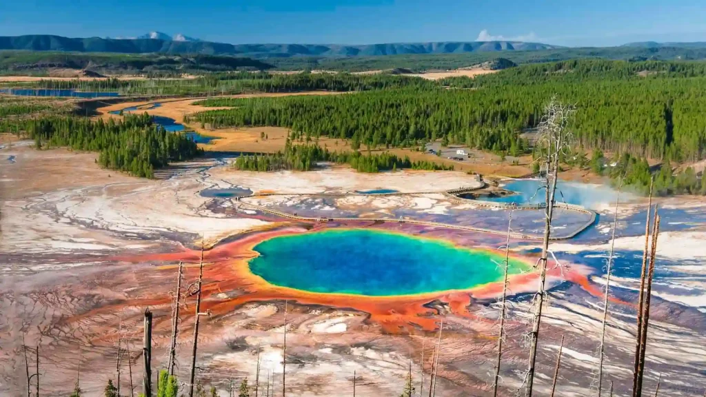 A vibrant aerial view of the Grand Prismatic Spring in Yellowstone National Park. The spring's center is a deep blue, surrounded by rings of green, yellow, and red. Forests and mountains form the backdrop, with a clear blue sky above.