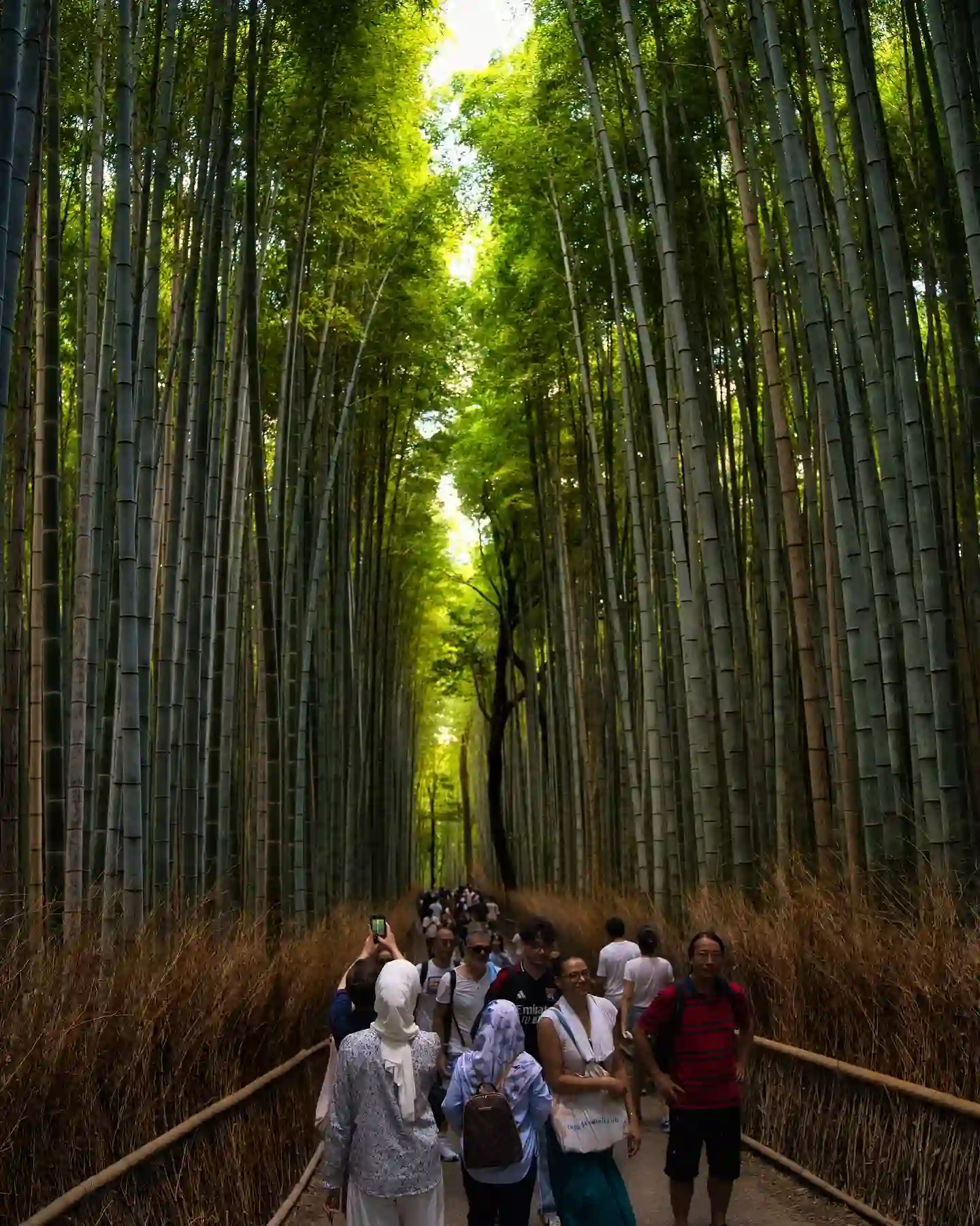 A group of people walks along a narrow pathway through the dense Arashiyama Bamboo Forest. Tall, green bamboo stalks tower on both sides, creating a natural canopy overhead. The scene is serene with a mix of sunlight and shade filtering through the foliage.