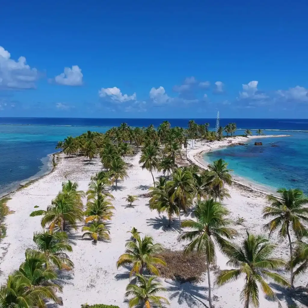 Bird's-eye view of a tropical island in Belize with white sandy beaches, lined with palm trees, surrounded by clear turquoise waters. The sky is bright blue with a few scattered clouds. Sparse structures are visible on the island.