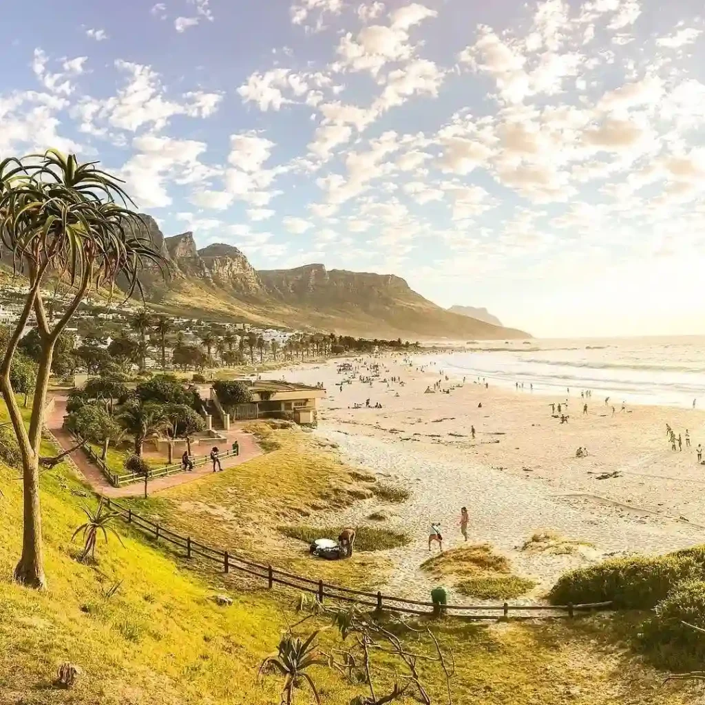 A scenic beach view with a golden sunset, soft waves, and scattered beachgoers. Mountains rise in the background, and a few trees and buildings line the coast. A wooden fence winds along a grassy hill overlooking the beach in Cape Town. The sky is dotted with clouds.