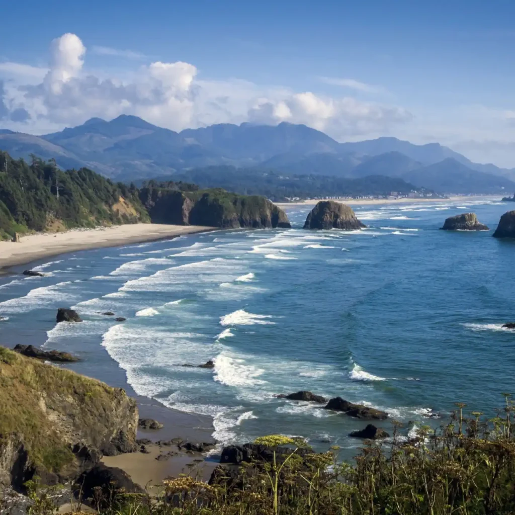 Harris Beach State Park