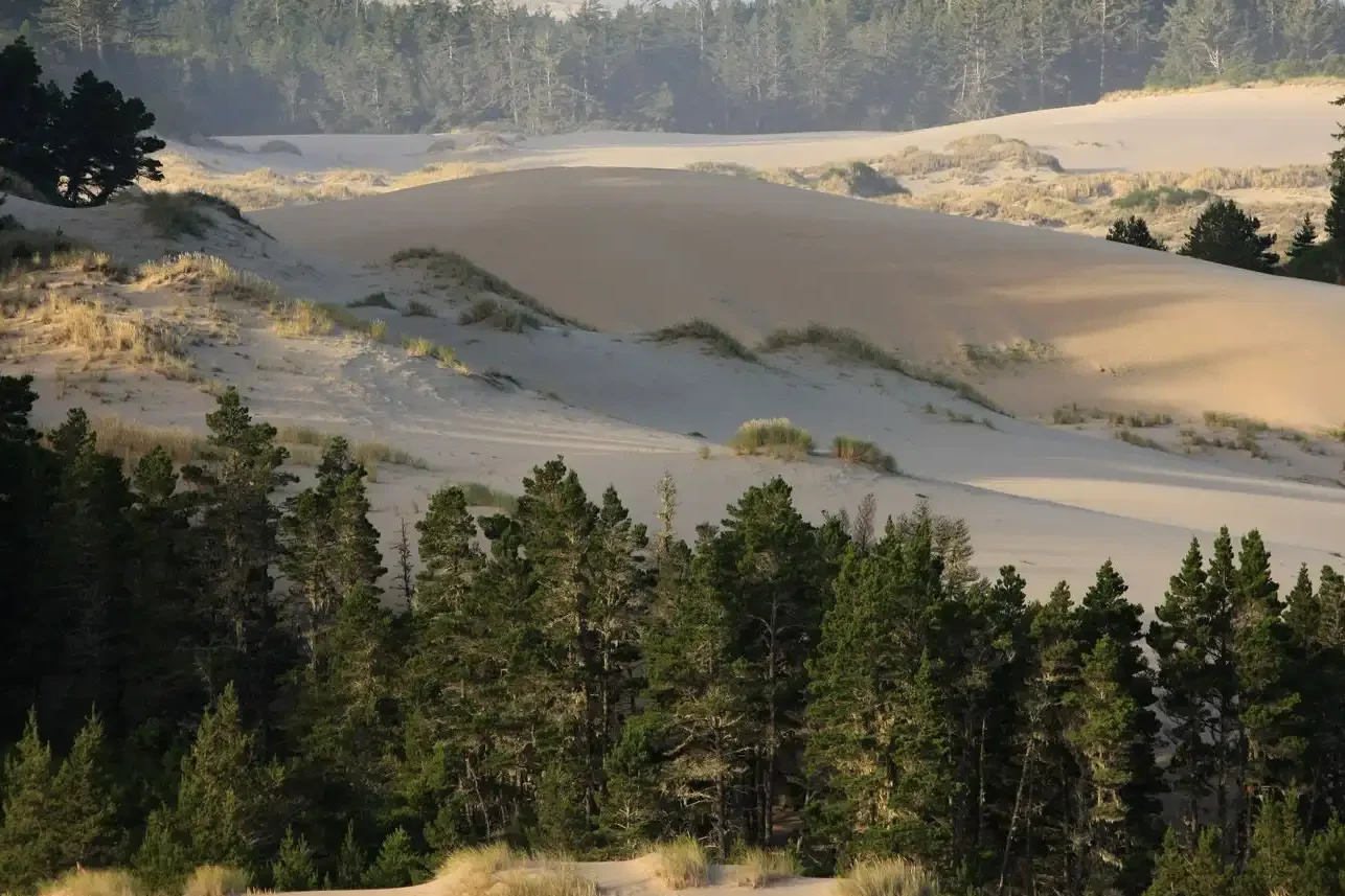 Oregon Dunes National Recreation Area edited