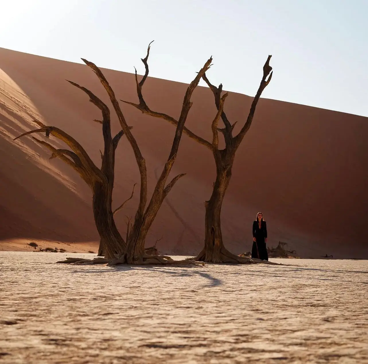 A person in dark clothing stands near three leafless, gnarled trees in the vast, arid landscape of Sossusvlei with towering sand dunes. The sky is clear and blue. The shadows of the trees stretch across the cracked, parched ground.