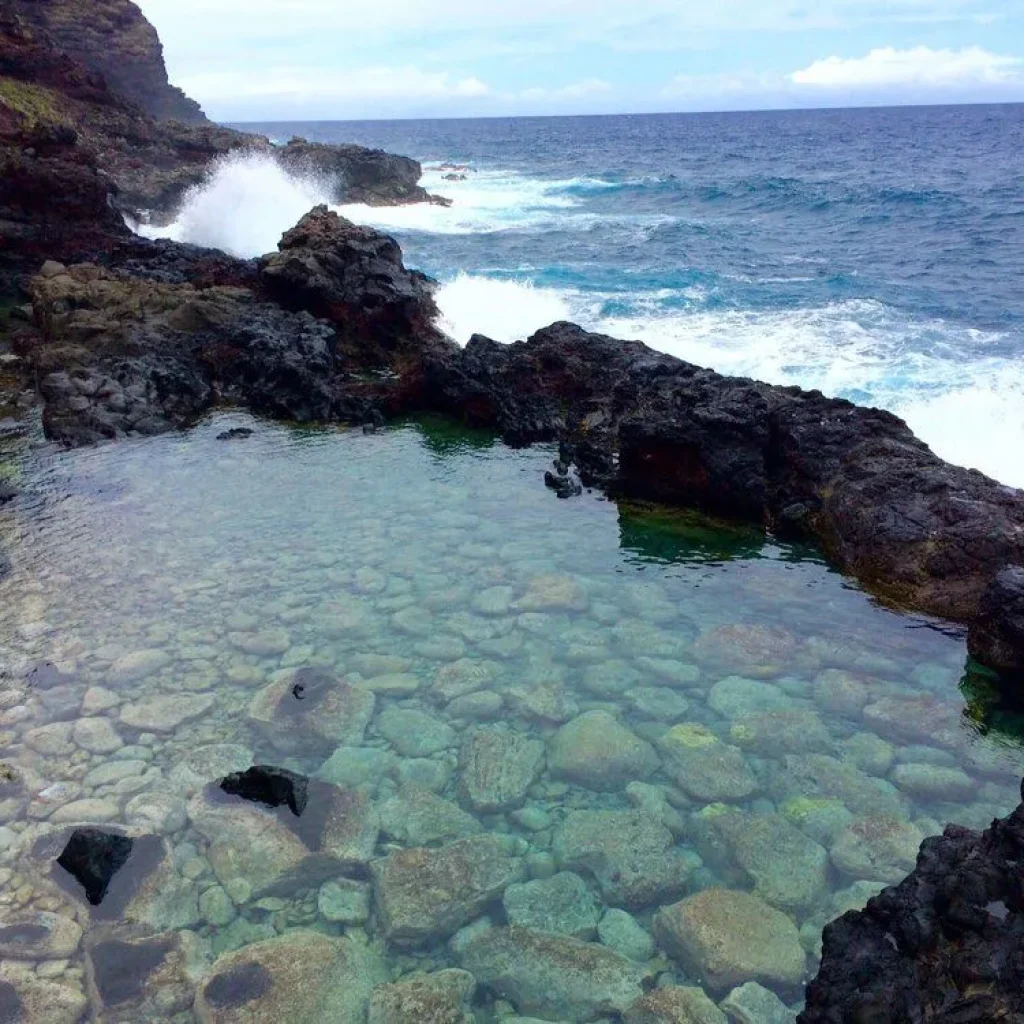 Tide Pooling