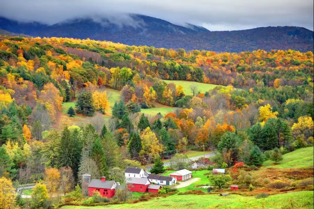 Berkshires