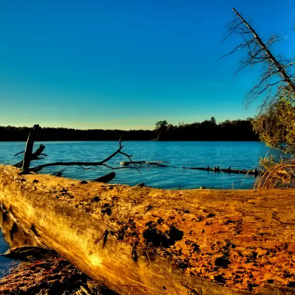 Nicks Lake New York