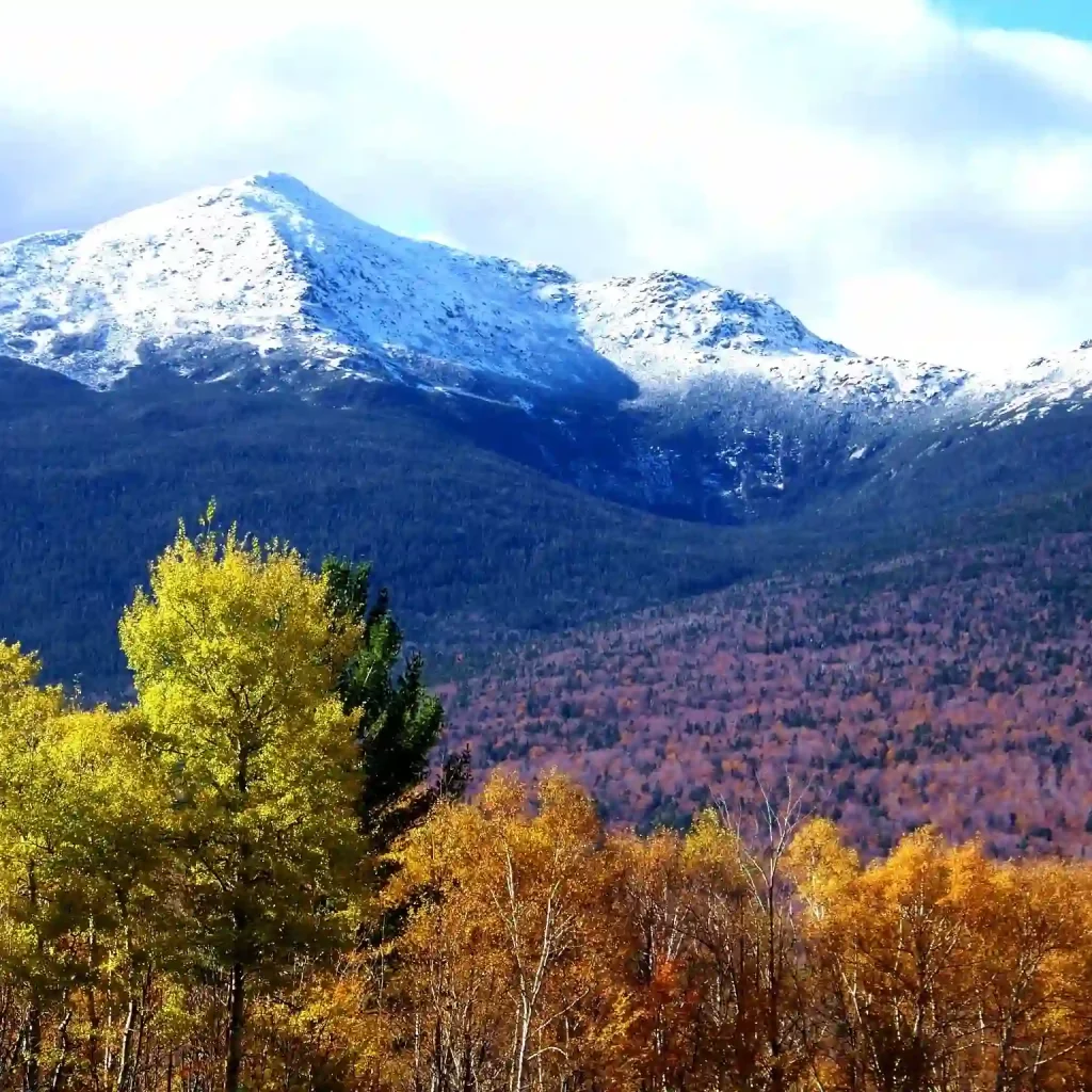 The White Mountains