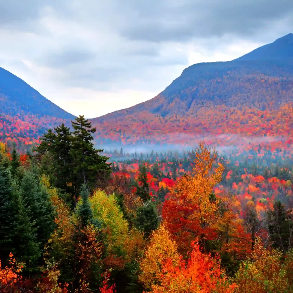 White Mountain National Forest