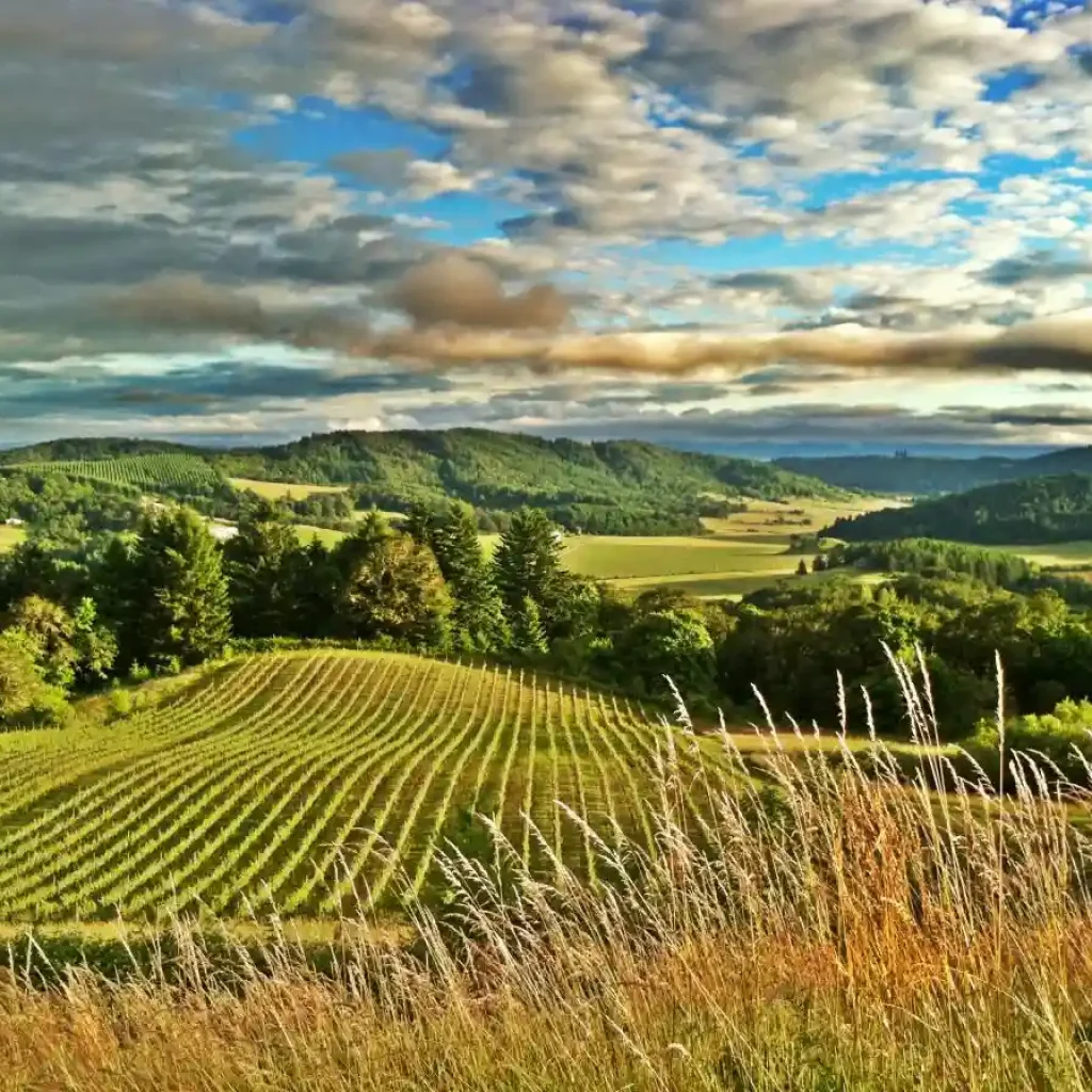 Willamette Valley