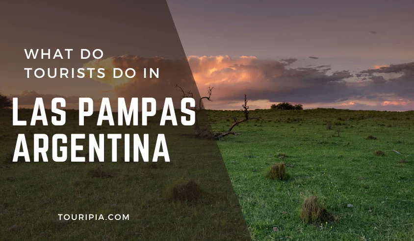 What Do Tourists Do in Las Pampas Argentina​? Activities & Tips